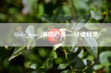 灯塔消防产品cccf认证目录