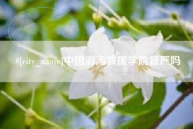 灯塔中国消防救援学院管严吗