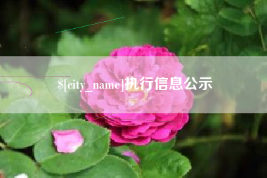 灯塔执行信息公示