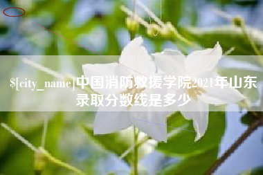 灯塔中国消防救援学院2021年山东录取分数线是多少