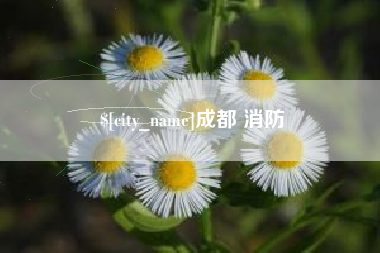 灯塔成都 消防