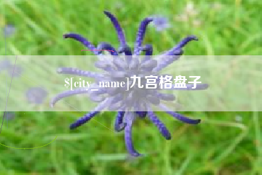 灯塔九宫格盘子