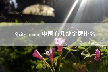 灯塔中国有几块金牌排名