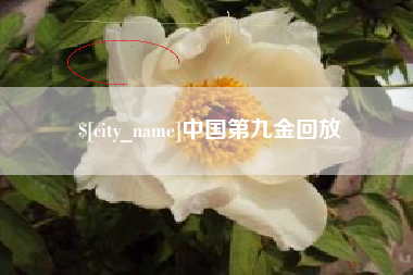 灯塔中国第九金回放