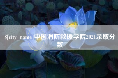 灯塔中国消防救援学院2021录取分数