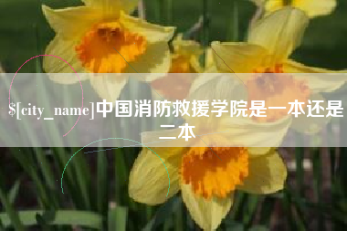 灯塔中国消防救援学院是一本还是二本