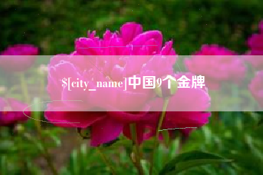 灯塔中国9个金牌