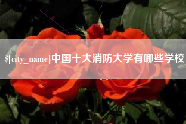 灯塔中国十大消防大学有哪些学校