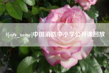 灯塔中国消防中小学公开课回放