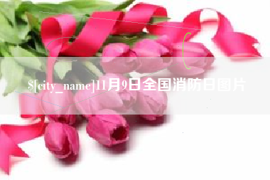 灯塔11月9日全国消防日图片