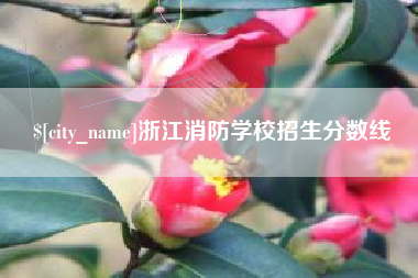 灯塔浙江消防学校招生分数线