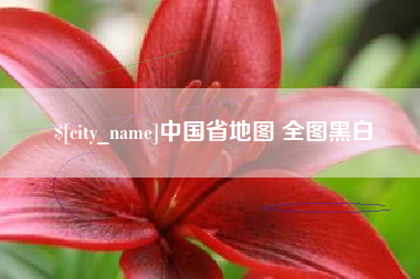 灯塔中国省地图 全图黑白
