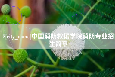 灯塔中国消防救援学院消防专业招生简章