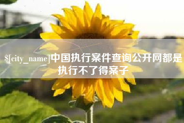 灯塔中国执行案件查询公开网都是执行不了得案子