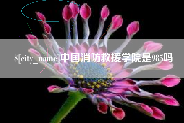 灯塔中国消防救援学院是985吗