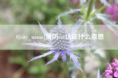 灯塔消防ccc认证什么意思