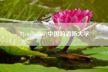 灯塔中国的消防大学
