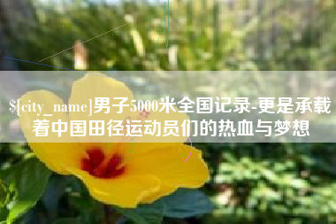 灯塔男子5000米全国记录-更是承载着中国田径运动员们的热血与梦想