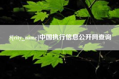 灯塔中国执行信息公开网查询