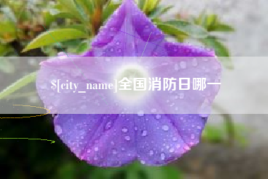 灯塔全国消防日哪一
