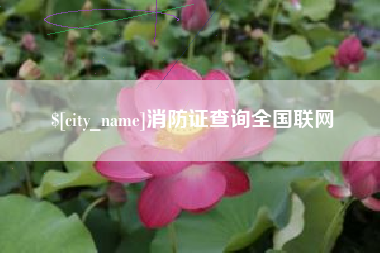 灯塔消防证查询全国联网