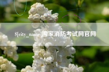 灯塔国家消防考试网官网