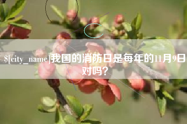 灯塔我国的消防日是每年的11月9日对吗？