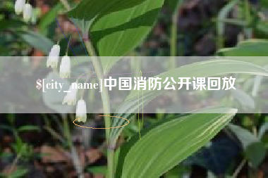 灯塔中国消防公开课回放