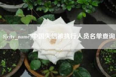 灯塔中国失信被执行人员名单查询