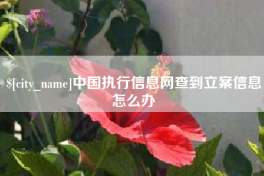 灯塔中国执行信息网查到立案信息怎么办