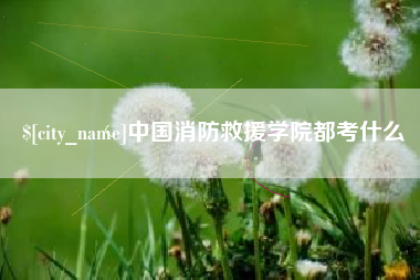 灯塔中国消防救援学院都考什么
