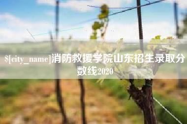 灯塔消防救援学院山东招生录取分数线2020