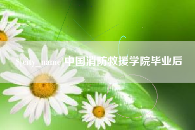 灯塔中国消防救援学院毕业后