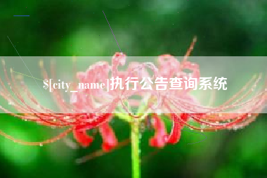 灯塔执行公告查询系统