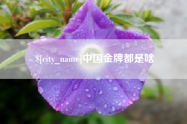 灯塔中国金牌都是啥
