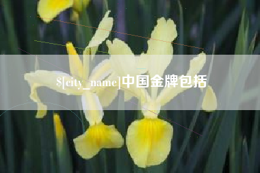 灯塔中国金牌包括