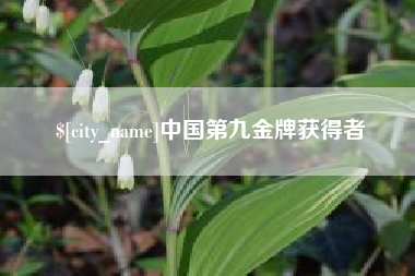 灯塔中国第九金牌获得者