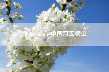 灯塔中国冠军榜单