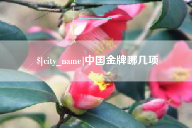 灯塔中国金牌哪几项
