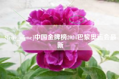灯塔中国金牌榜2024巴黎奥运会最新