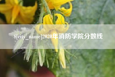 灯塔2020年消防学院分数线