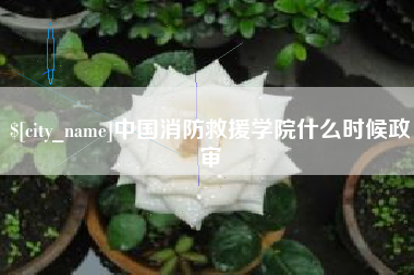 灯塔中国消防救援学院什么时候政审