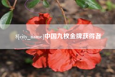 灯塔中国九枚金牌获得者