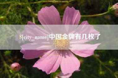灯塔中国金牌有几枚了