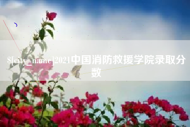 灯塔2021中国消防救援学院录取分数