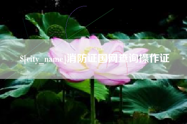灯塔消防证国网查询操作证
