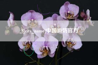 灯塔中国消防官方