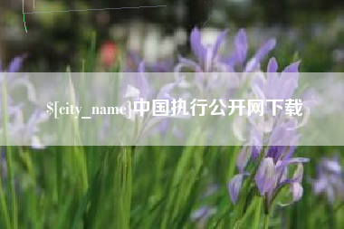灯塔中国执行公开网下载