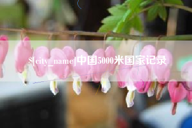 灯塔中国5000米国家记录