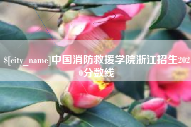灯塔中国消防救援学院浙江招生2020分数线